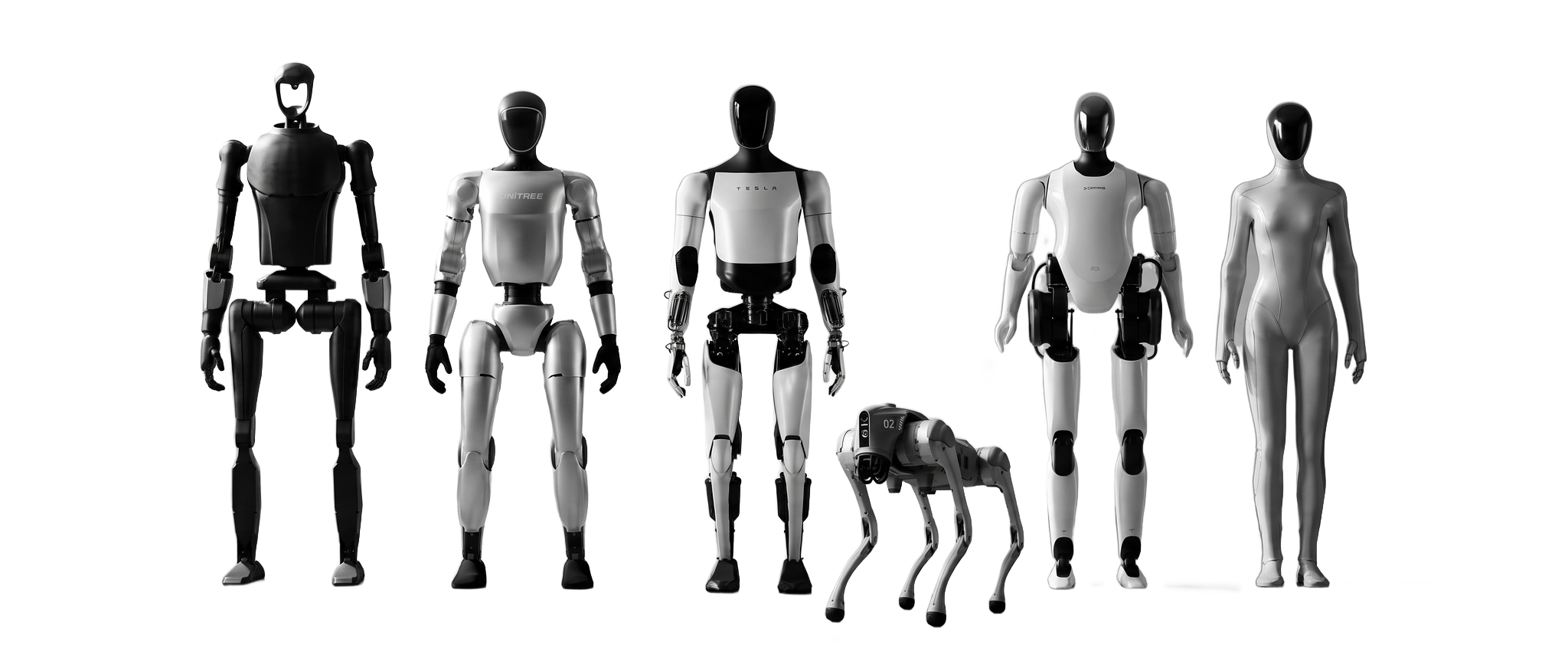 Flotila robotov robotrental.sk — Unitree G1, H1, Go2, Tesla Optimus, Xiaomi CyberOne, XPeng Iron